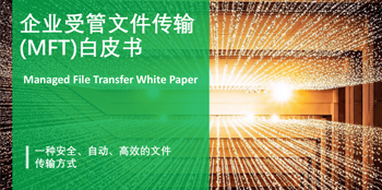 《企业受管文件传输白皮书》<br />
文件传输现状·MFT实施·未来前景